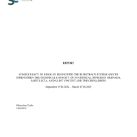 Consultancy to resolve issues with the Eurotrace system and to strengthen the technical capacity of statistical offices in Grenada, Saint Lucia, and Saint Vincent and the Grenadines